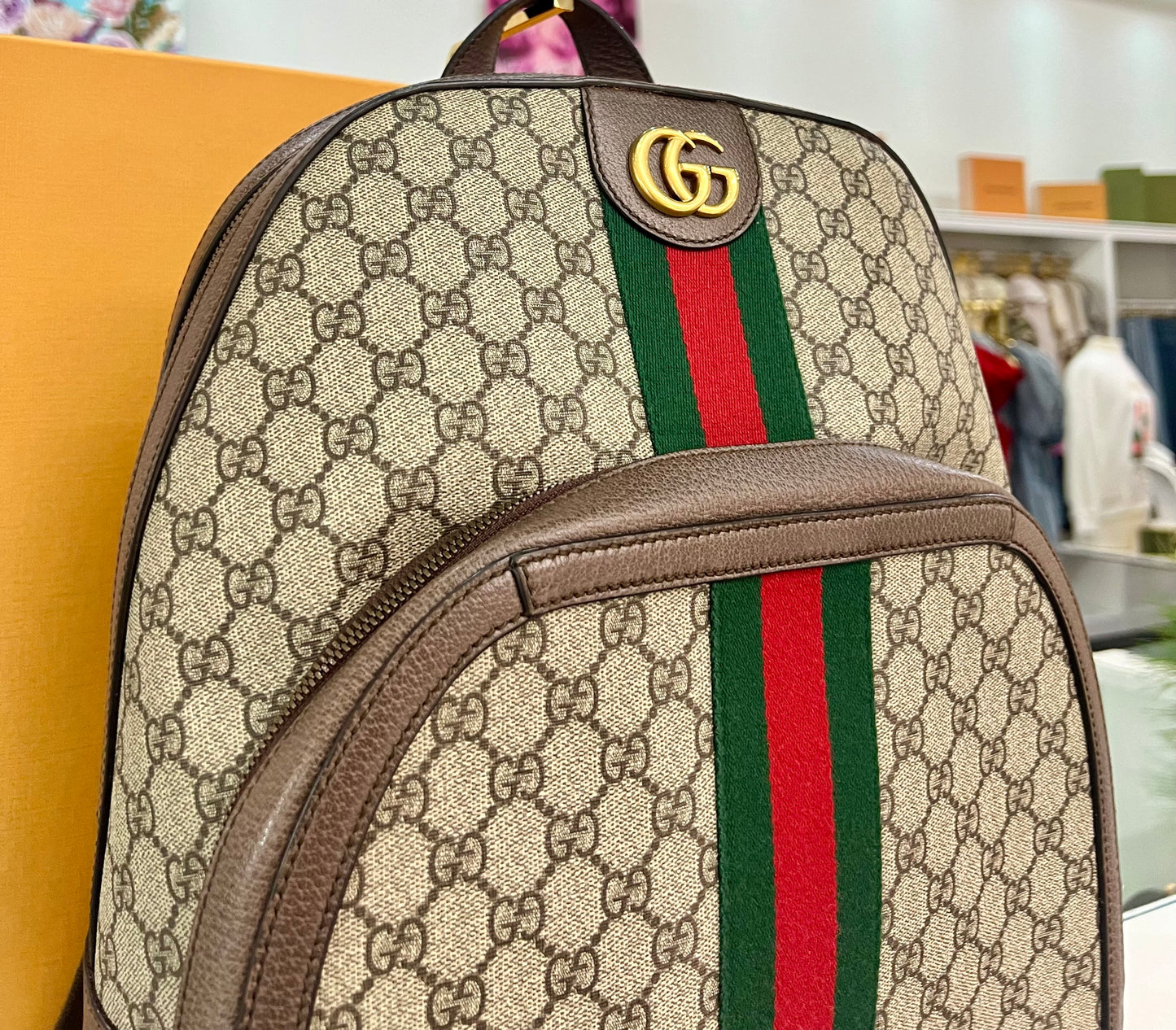 Gucci Ophidia Backpack