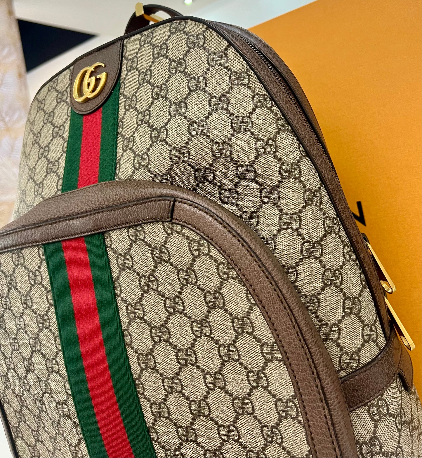 Gucci Ophidia Backpack